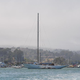 Illustration for article titled Pegasus Open 50, The Official Transpac Raceboat of Gizmodo